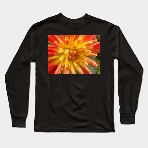 Bursting Yellow and Orange Dahlia of Joy and Happiness Long Sleeve T-Shirt by Photomersion